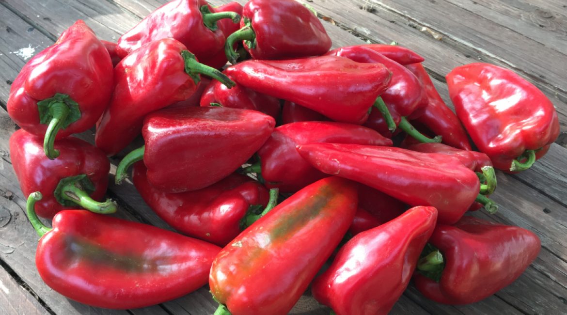 Precizări privind formele de sprijin pentru legumicultori în anul 2021