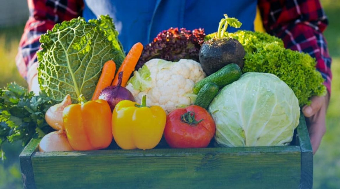 Lista județelor cu cei mai mulți beneficiari ai formelor de sprijin acordate cultivatorilor de legume în anul 2021