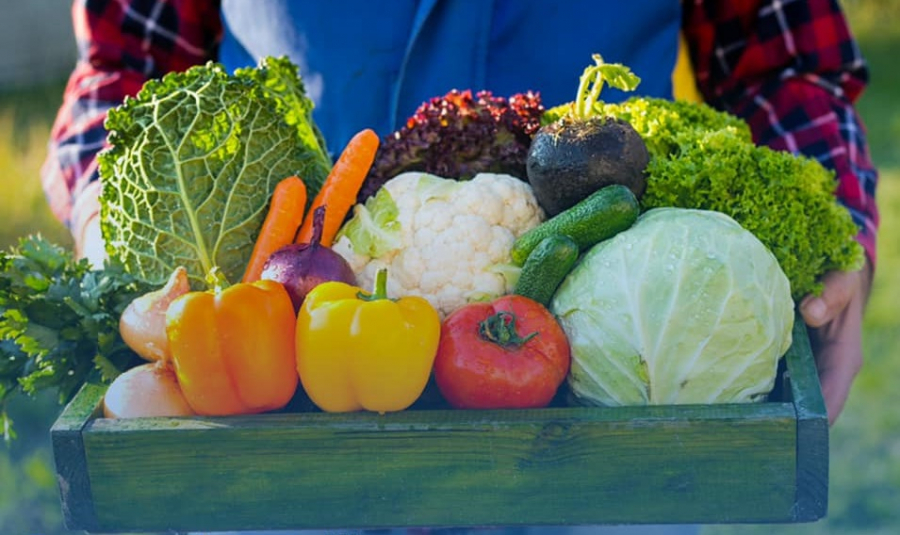 Lista județelor cu cei mai mulți beneficiari ai formelor de sprijin acordate cultivatorilor de legume în anul 2021