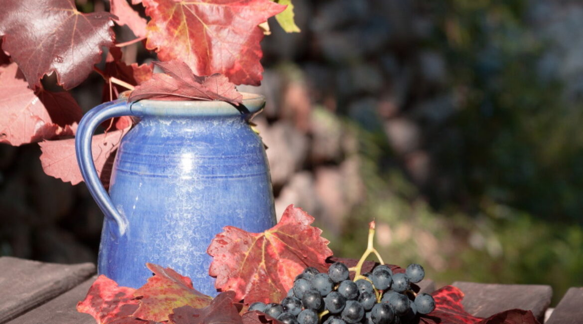 Sprijin de 15 milioane lei pentru producția strugurilor de masă